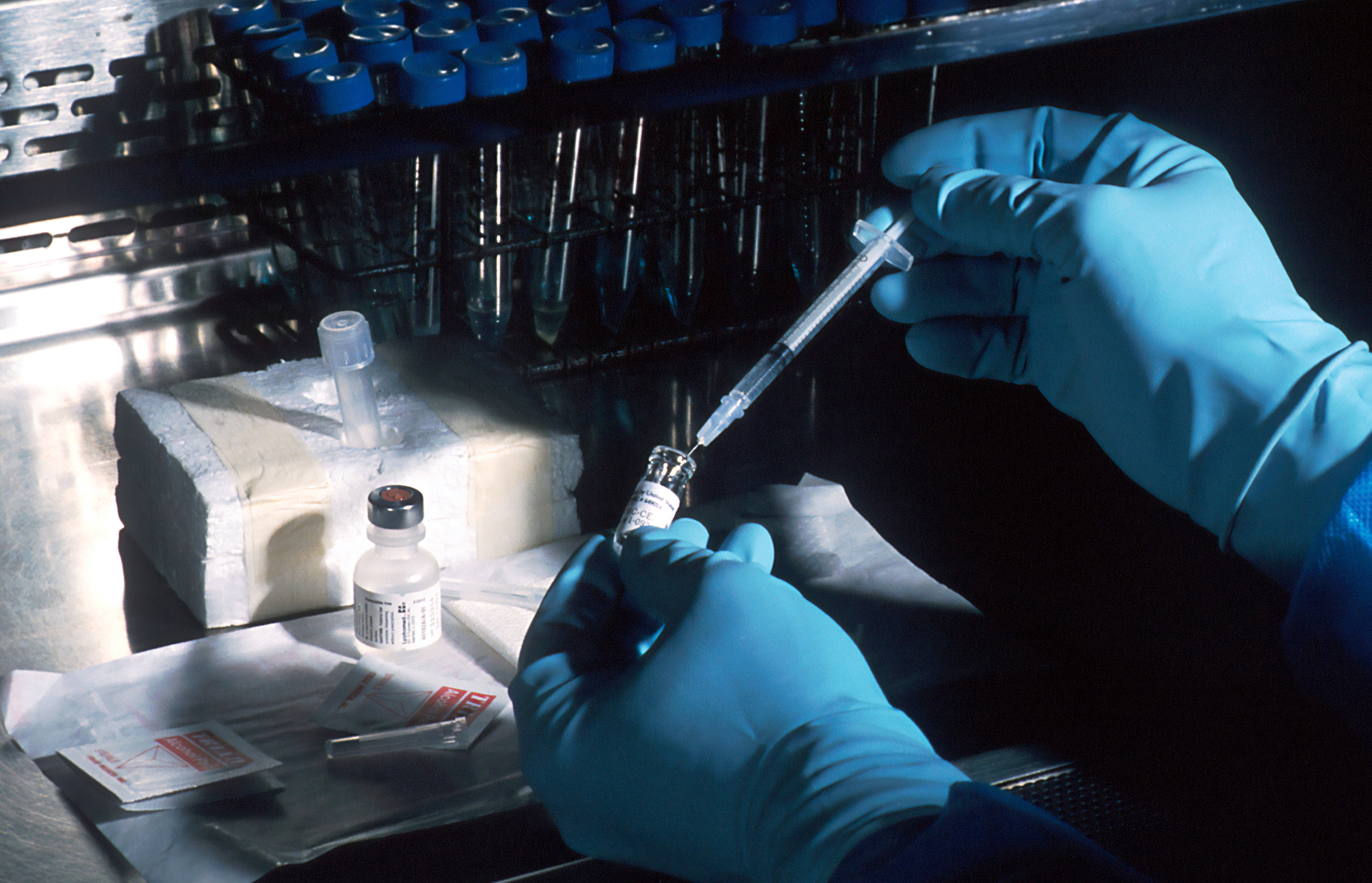 Engenharia Genética e Bioprocessos engenharia-genetica-bioprocessos