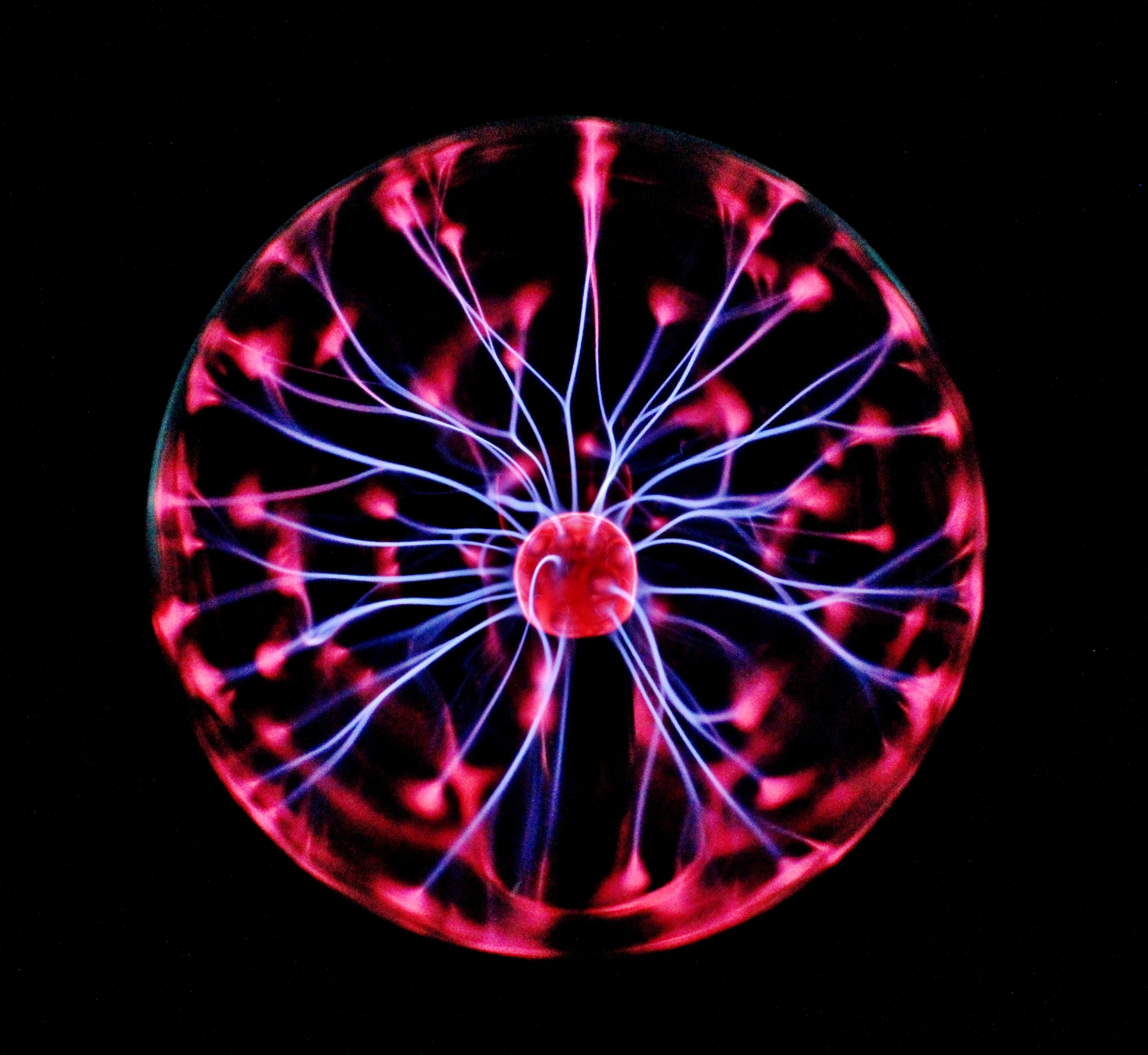 Neurociência neurociencia
